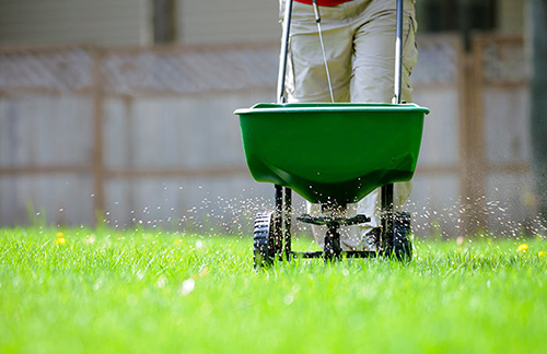 Fertilizer or Top Dressing